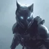 tactus_valii_rath
