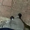 djuppy07