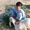 siddique.sheikh37