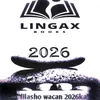 cawil.maxamed196