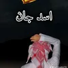 naseebshah3134