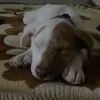 gwuecdndh