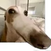 grebbbvkq5f