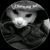 jolan.lobo
