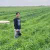 wasem.mansour7