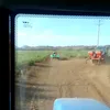 prltlt