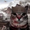 .l8iix