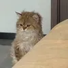 thxnqwyn06