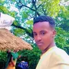 user7446235253217
