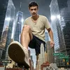 pandatt84