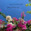 asimkhan250000