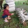 ank.kun6
