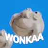 wonkaa.idn