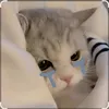 chan_1i1
