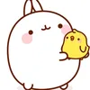 pikmi_11211