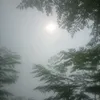 amirsheikh.01