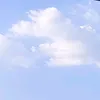zuriacerva