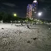 sukarono3