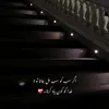 ali305048