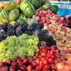 fruitasmr563