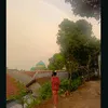 amira_channel0