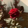 nasir.com07