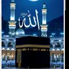 user1333428881205