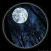 ahsan.jaan796