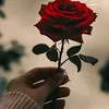 user5213179370460