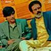 malikaltafkhanshahwani1