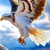 asmtullah112245