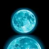 user463060256