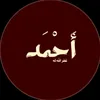 ahmed_rady101