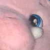 rdan_71123