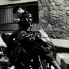 cleosatria