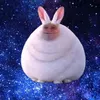 mpytn0