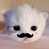khvinqoc