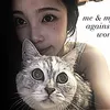 syla_363
