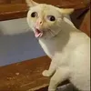 huongnoihoilowkey36