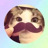 nic_12367