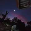 mist_walker8