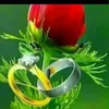 user7909248673353