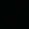 pe123456789106
