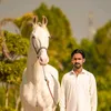 aisf.awan