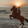 aidar.myrza.attar