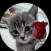 samirwaiba34