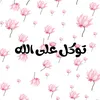 nour.sin017