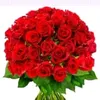 taslima7517