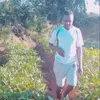 nyashachigodora