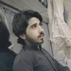 jinsar.ali3018